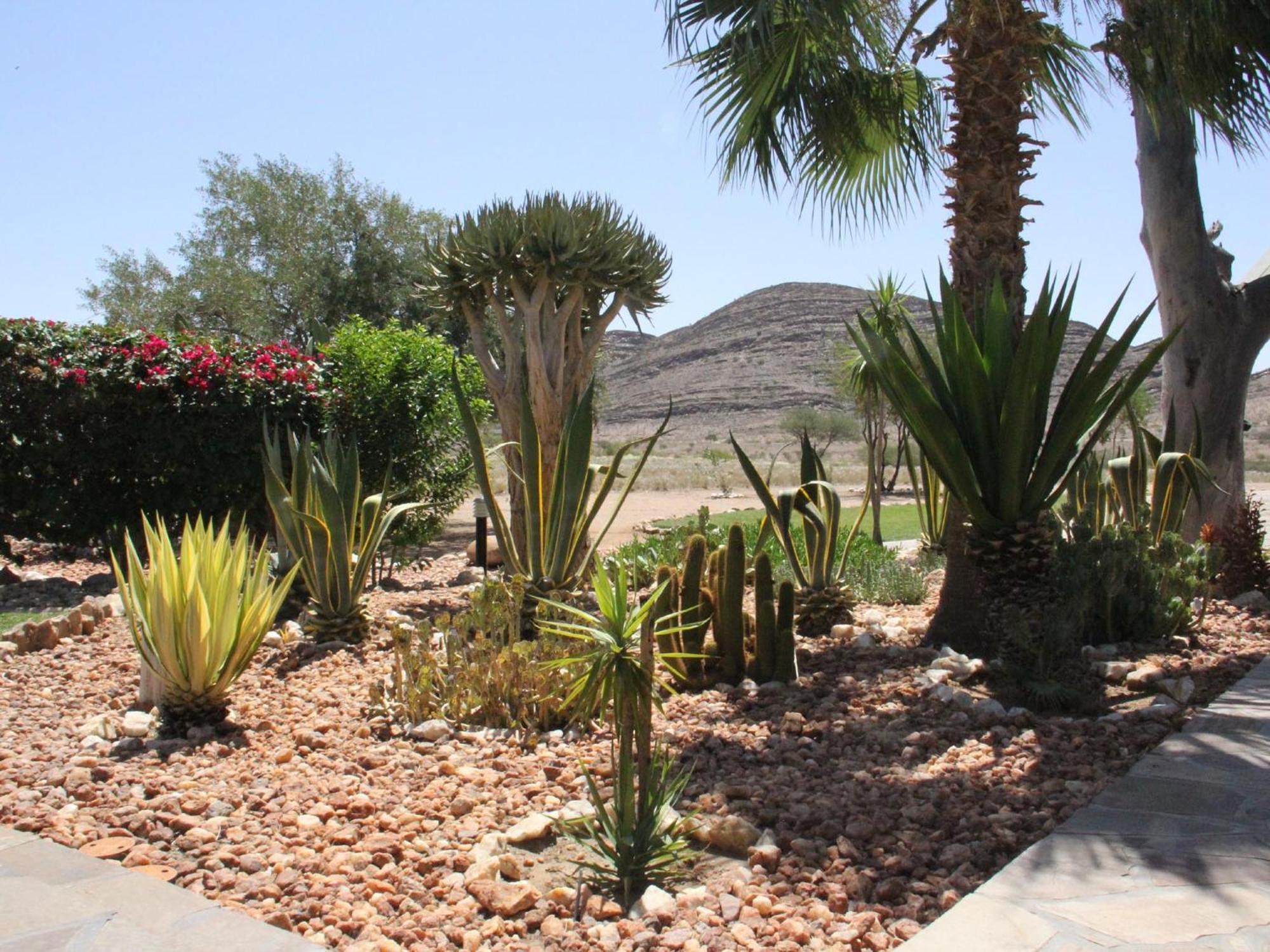 Rooisand Desert Ranch Chausib Номер фото